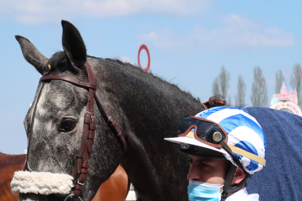 Huis-clos - Hippodrome de Vichy