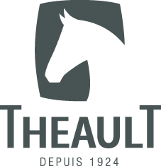 Logo Vans Theault