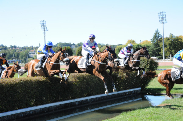 Cross - Hippodrome de Vichy