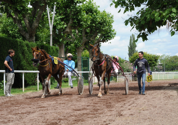 Trot - Hippodrome de Vichy