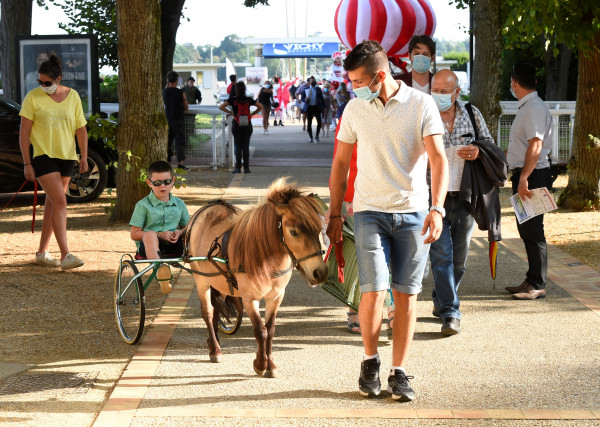 Chevaux miniatures - Hippodrome de Vichy