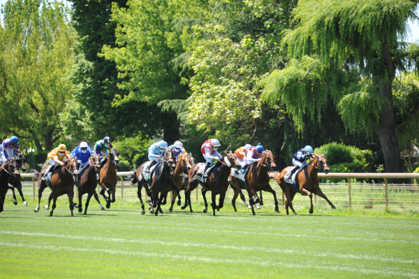 Galop - Hippodrome de Vichy-Bellerive