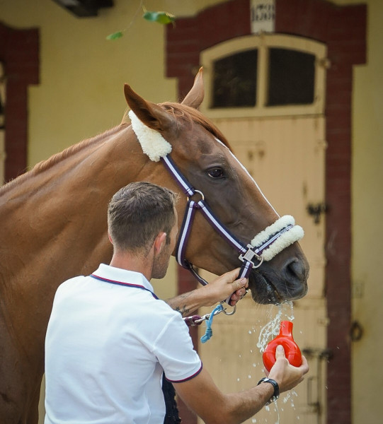 Raceandcare - Hippodrome de Vichy