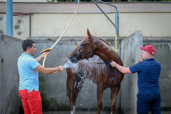 Douche - Hippodrome de Vichy-Bellerive