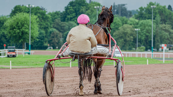 Courses de trot - Hippodrome de Vichy-Bellerive